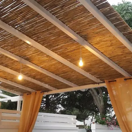 Pazze's House