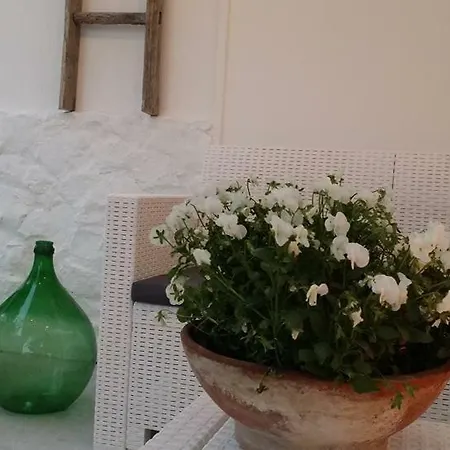 Pazze's House